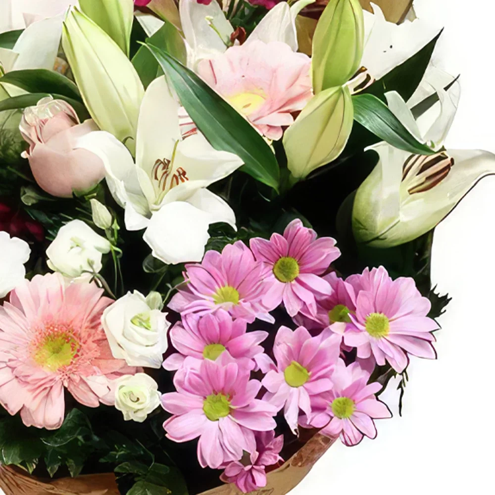 Mijas / Mijas Costa cvijeća- Jutro svježe Cvjetni buket/aranžman