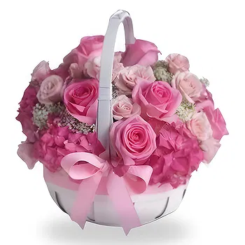 Antias flowers  -  PINK SUNSET Flower Delivery