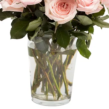 Oman flowers  -  12 Pink Roses Flower Bouquet/Arrangement