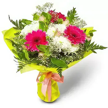 Kravino flowers  -  Pretty White & Pink Flower Delivery