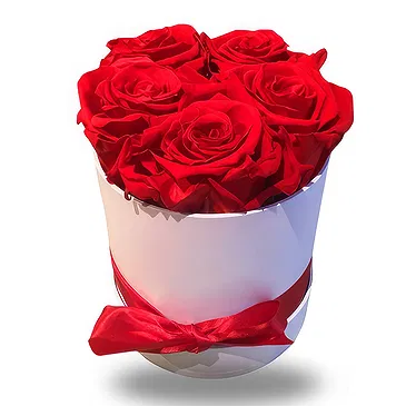 fleuriste fleurs de Jette- Boutons de roses rouges Bouquet/Arrangement floral