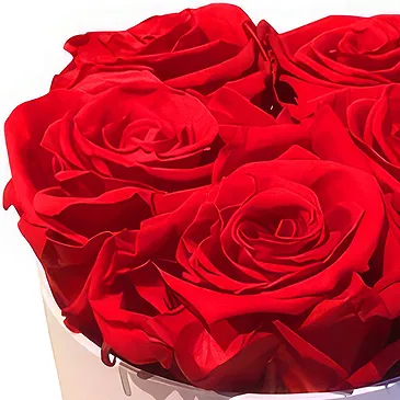 fleuriste fleurs de Jette- Boutons de roses rouges Bouquet/Arrangement floral
