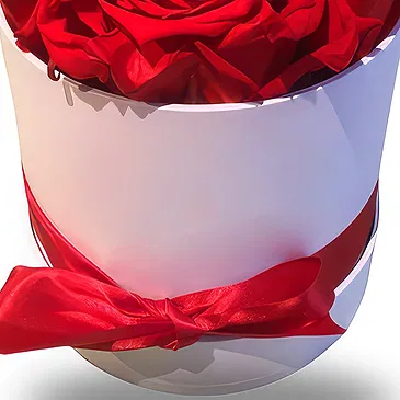 fleuriste fleurs de Jette- Boutons de roses rouges Bouquet/Arrangement floral