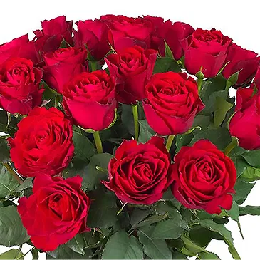 Amsterdam-Zuidoost flowers  -  Handcrafted  Flower Bouquet/Arrangement