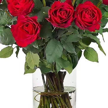 Amsterdam-Zuidoost flowers  -  Handcrafted  Flower Bouquet/Arrangement