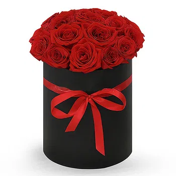 Antias flowers  -  Morning Glory Flower Delivery