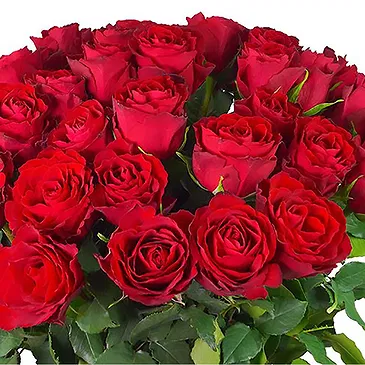 Amsterdam-Zuidoost flowers  -  Spring Roses Bouquet Flower Bouquet/Arrangement