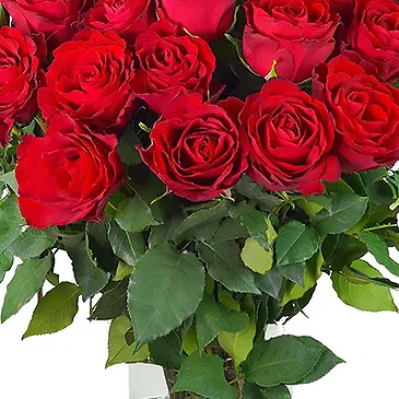 Amsterdam-Zuidoost flowers  -  Spring Roses Bouquet Flower Bouquet/Arrangement