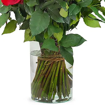Amsterdam-Zuidoost flowers  -  Spring Roses Bouquet Flower Bouquet/Arrangement