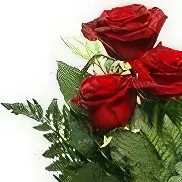 Smederevska Palanka flowers  -  Red Roses & Milka Flower Bouquet/Arrangement