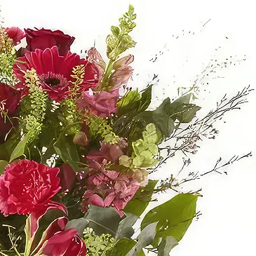 Vanlose flowers  -  For the most Beautiful Flower Bouquet/Arrangement