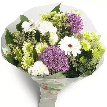 Antias flowers  -  Smoothness Flower Delivery