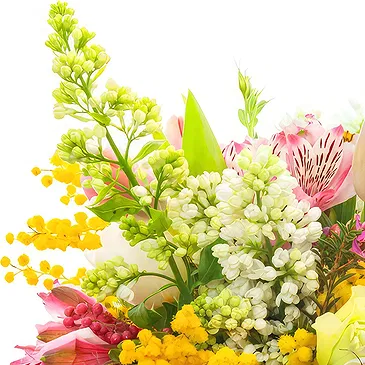 Oman flowers  -  Spring flowers arrangement with mimoza Flower Bouquet/Arrangement