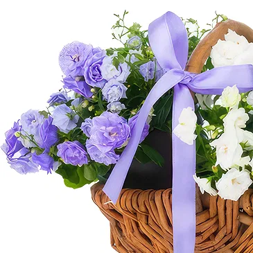 Birmingham flowers  -  White and blue basket Flower Bouquet/Arrangement