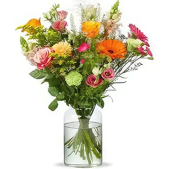 Holland flowers  -  cheer Flower Delivery