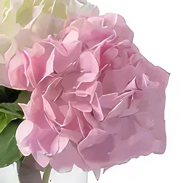 Barsha Hoogten bloemen bloemist- Kop op Boeket/bloemstuk