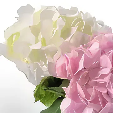 Barsha Hoogten bloemen bloemist- Kop op Boeket/bloemstuk