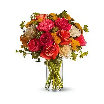 Bemaitso (Bemaitso) blomster- Solrig Siesta Blomst Levering
