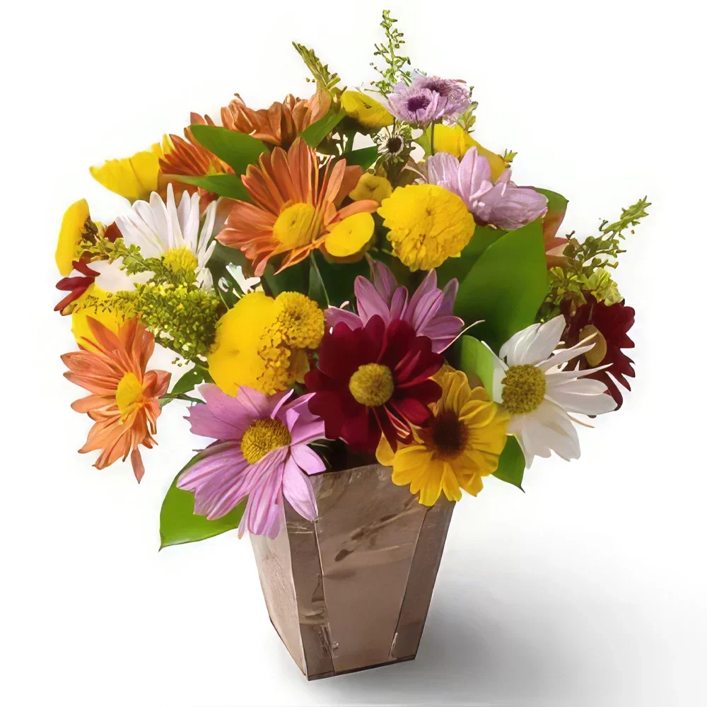 بائع زهور ريسيفي- ترتيب الإقحوانات الملونة وأوراق الشجر باقة الزهور