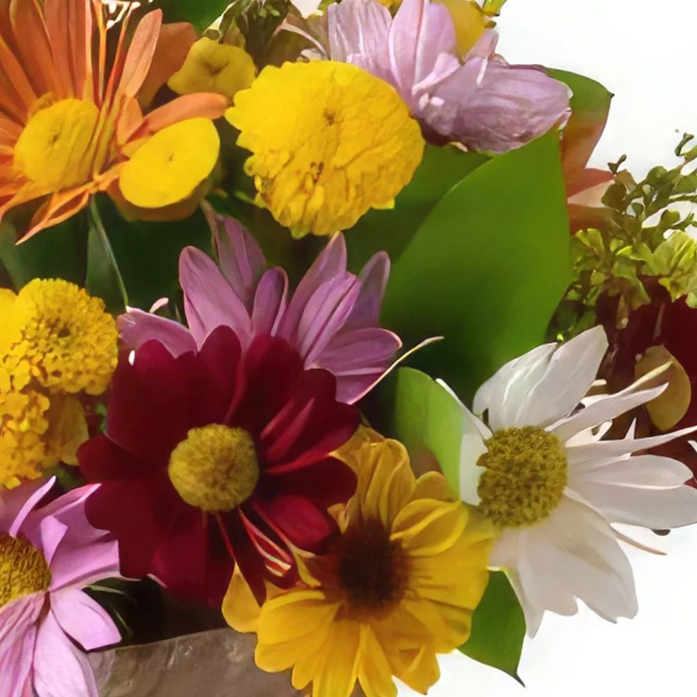 Белу-Оризонти цветы- Расположение красочных ромашек и листвы Цветочный букет/композиция