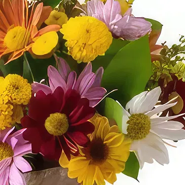 Santa Maria flowers  -  Arrangement of Colorful Daisies and Foliage Flower Bouquet/Arrangement