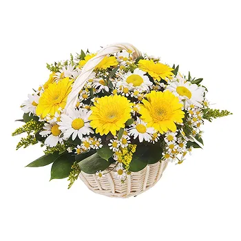 San Marino flowers  -  Basket of White and Yellow Flowers Delivery