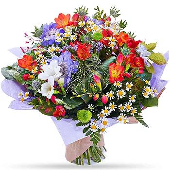 Holland flowers  -  Colorful Blooms Flower Delivery