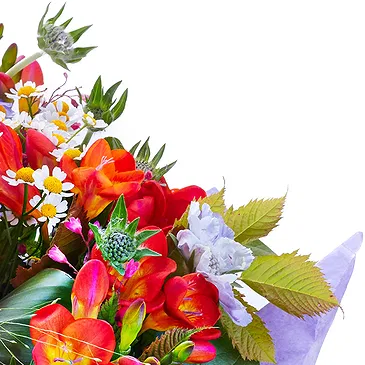 Oman flowers  -  Colorful Blooms Flower Bouquet/Arrangement