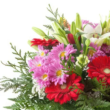 Italy flowers  -  Bouquet of flowers for retirement Flower Bouquet/Arrangement