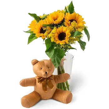 Brazil flowers  -  Sunflowers in Vase and Teddybear Delivery