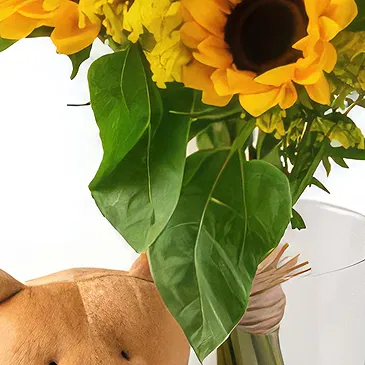 Brasilien Blumen Florist- Sonnenblumen in Vase und Teddybär Bouquet/Blumenschmuck