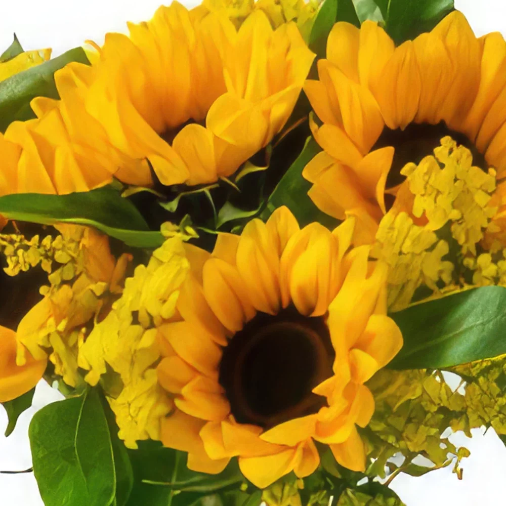 Salvador kukat- Auringonkukat maljakossa ja nallekarhussa Kukka kukkakimppu