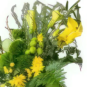 Ouled Maaref flowers  -  Djurdjura Flower Bouquet/Arrangement