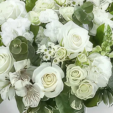 Ghadeer al tair flowers  -  Cherished Reminiscences Flower Bouquet/Arrangement