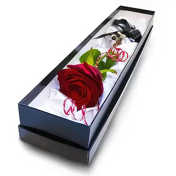 Antias flowers  -  Lovely Rose Flower Delivery