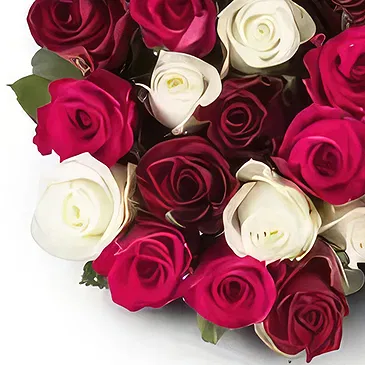 Amsterdam flowers  -  Rose Celebration Flower Bouquet/Arrangement