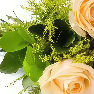 Santa Maria flowers  -  Bouquet of 8 Champagne Roses Flower Bouquet/Arrangement