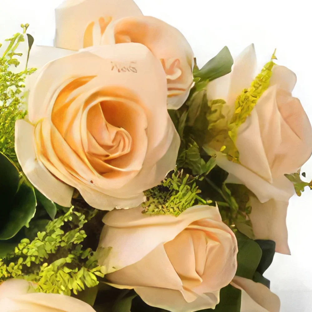flores Fortaleza floristeria -  Ramo de 8 rosas de champán Ramo de flores/arreglo floral