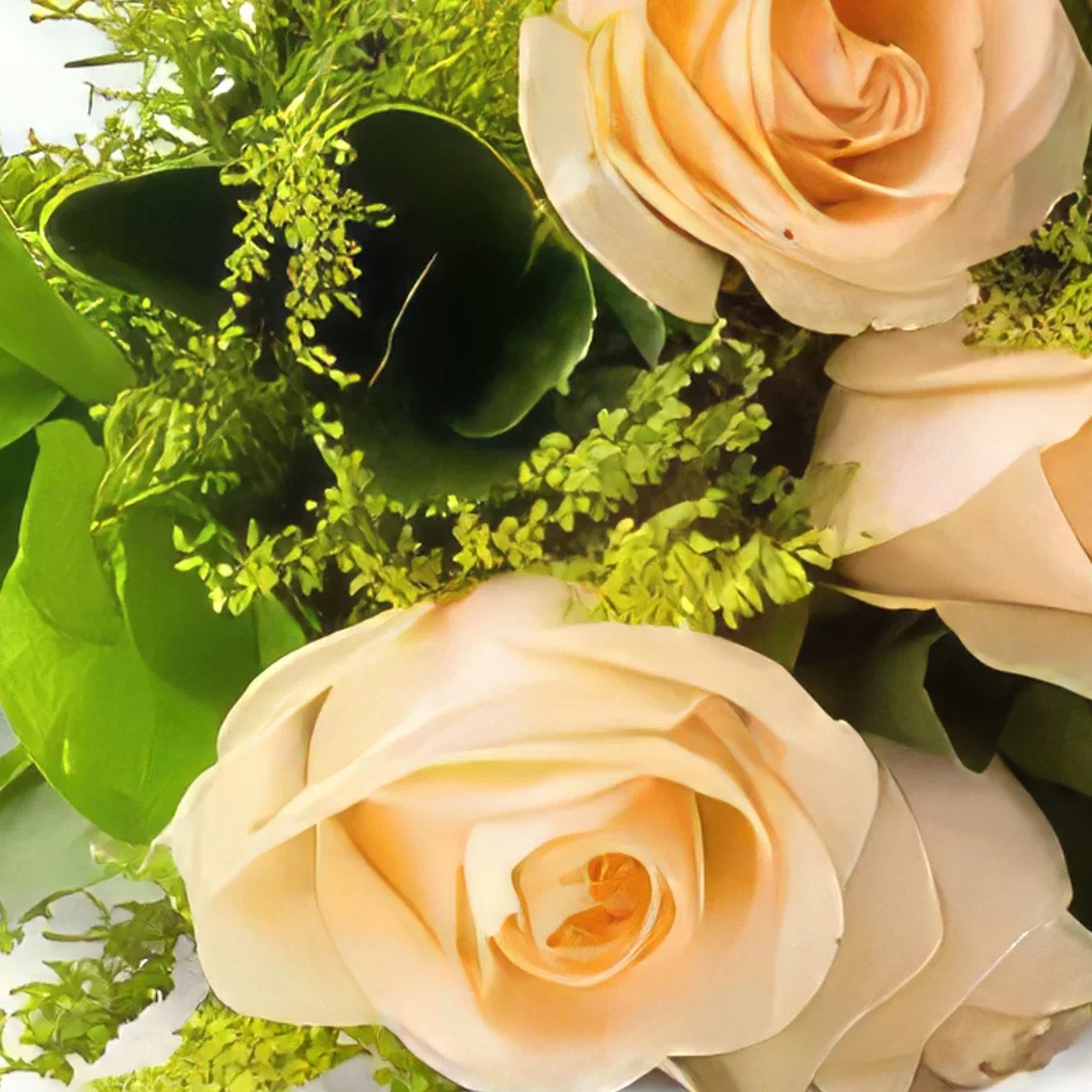 רסיפה פרחים- זר של 8 ורדים שמפניה זר פרחים/סידור פרחים