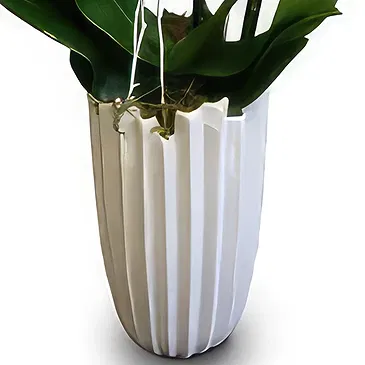 Mira flowers  -  Modern and Elegant  Flower Bouquet/Arrangement