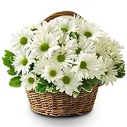 Resten av Ryssland Online Florist - Lugnande och visuellt Bukett