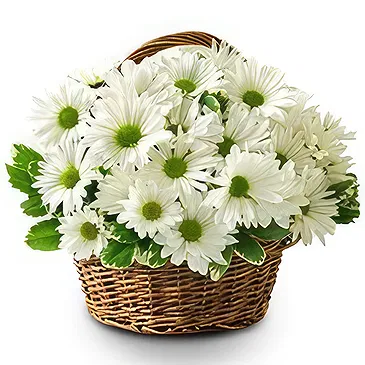 Resten av Ryssland blommor- Lugnande och visuellt Bukett/blomsterarrangemang