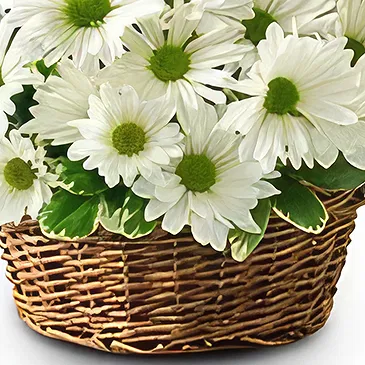 Resten av Ryssland blommor- Lugnande och visuellt Bukett/blomsterarrangemang
