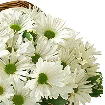 Resten av Ryssland blommor- Lugnande och visuellt Bukett/blomsterarrangemang