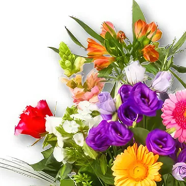 Holland flowers  -  Bouquet Cleo Flower Bouquet/Arrangement