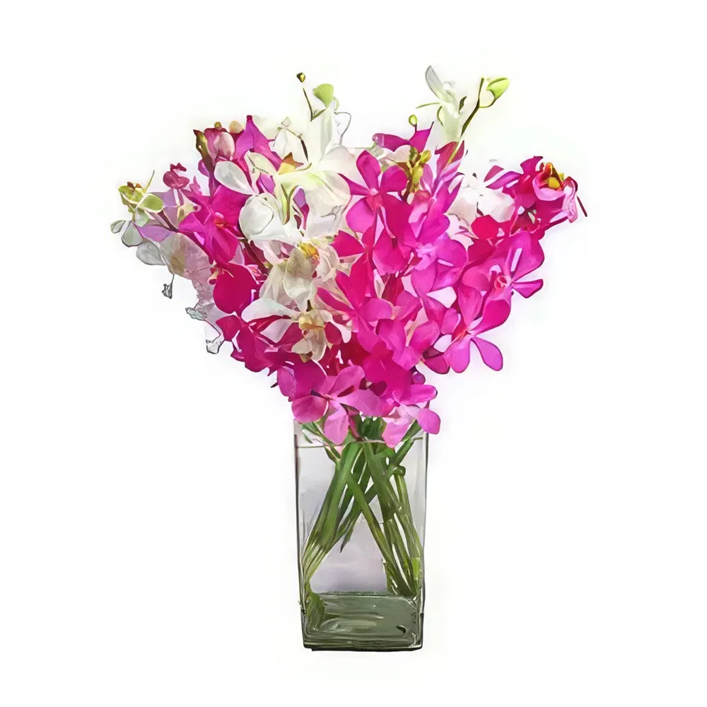 Mallorca flowers  -  Splendid Orchids