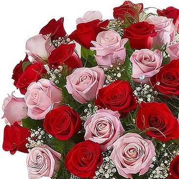 Prokuplje flowers  -  Truly Beautiful Flower Bouquet/Arrangement