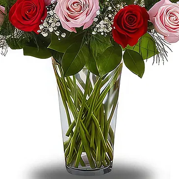 Prokuplje flowers  -  Truly Beautiful Flower Bouquet/Arrangement