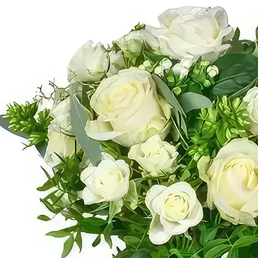 Taunton flowers  -  Snowy Romance Flower Bouquet/Arrangement