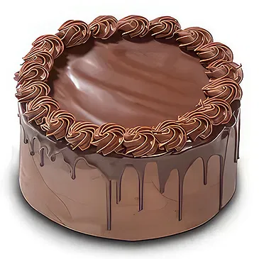 Schoondijke flowers  -  chocolate drip cake Flower Bouquet/Arrangement